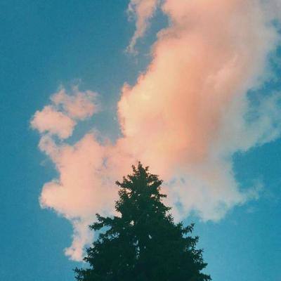 leyu·乐鱼app下载