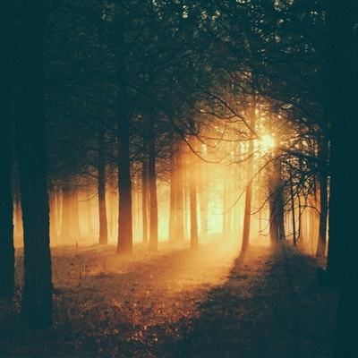 BOB·体育综合APP