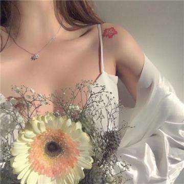 云开平台APP官方全站APP入口下载手机版